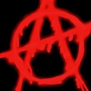 Meet your Posher, Bob